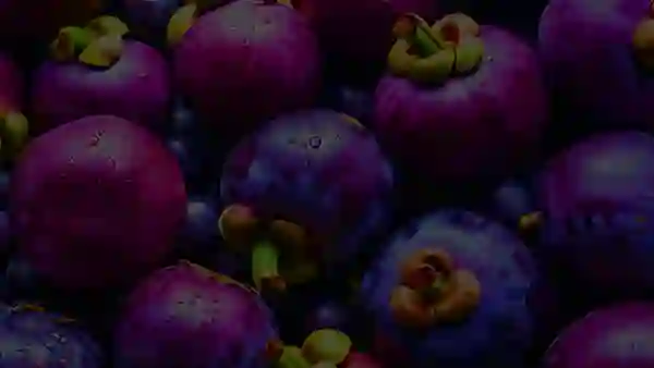 Mitolyn capsule and lifestyle