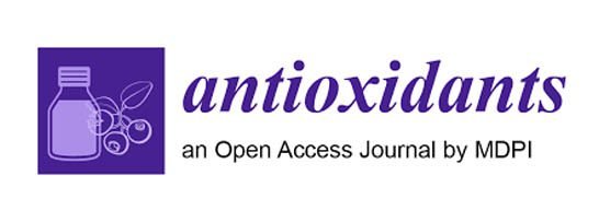 How Mitolyn supports steady energy